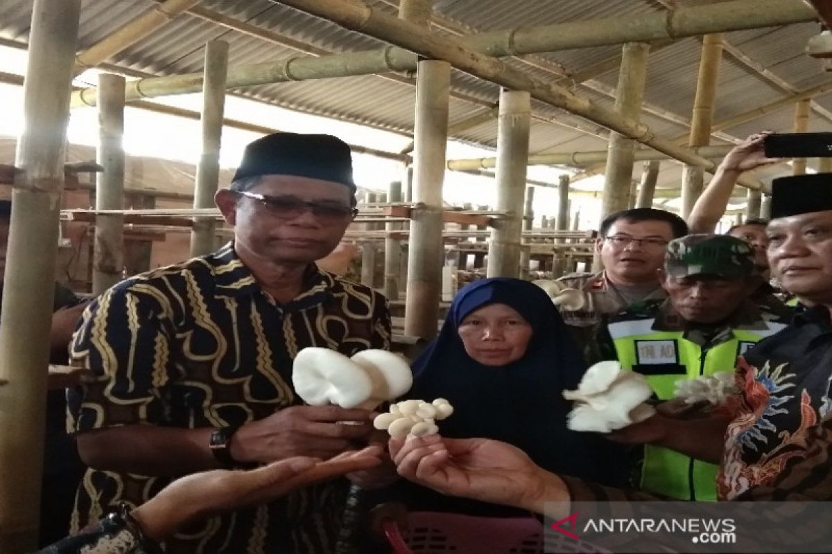 Dompet Dhuafa siap kembangkan budi daya jamur