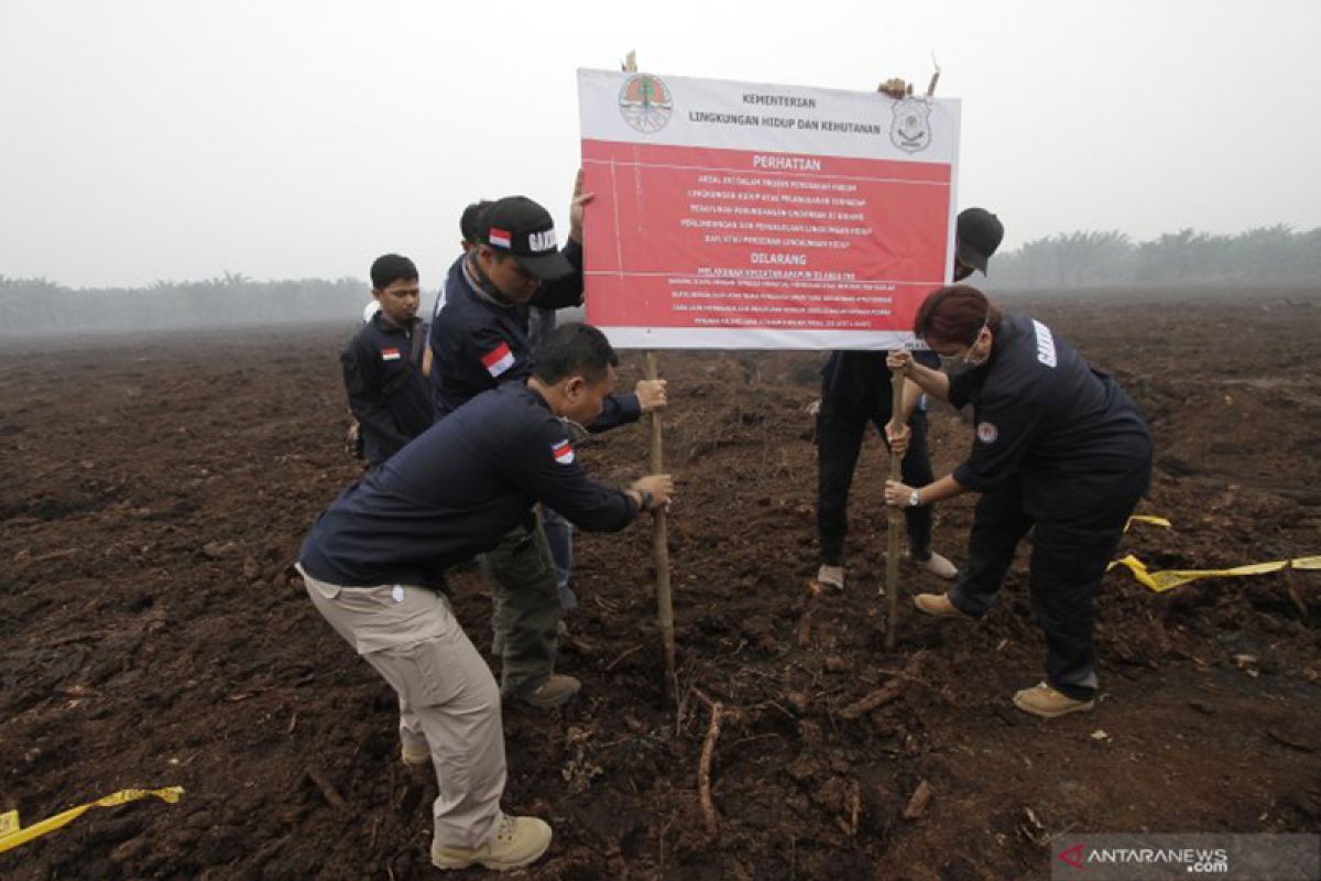 KLHK segel lahan PT Adei perusahaan sawit Malaysia yang diduga dibakar di Riau, begini penjelasannya