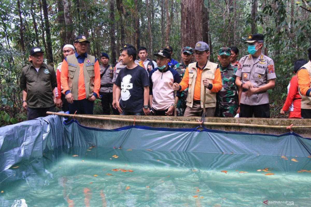 BNPB sebut 80 persen lahan terbakar akan jadi perkebunan