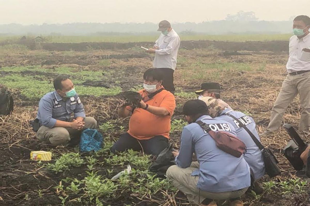 Polda kalteng belum tetapkan dua korporasi sebagai tersangka kasus karhutla