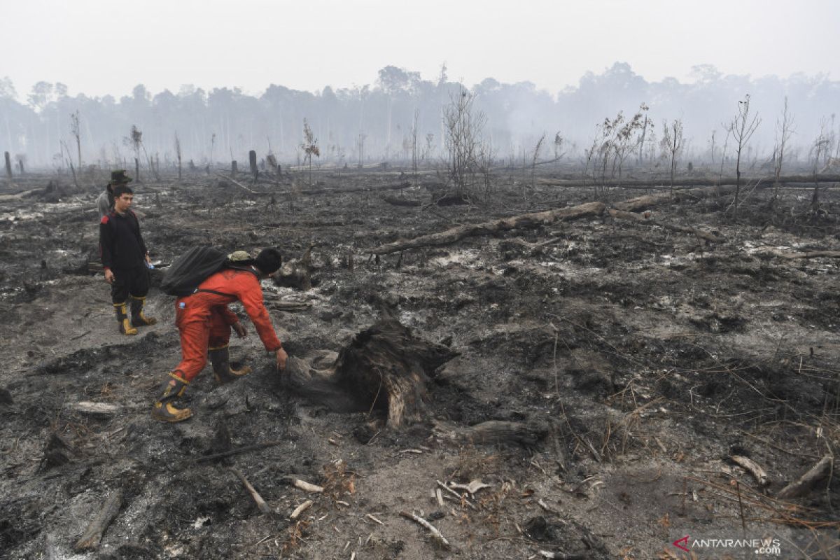 Dua korporasi di Kalteng ditetapkan sebagai tersangka kasus karhutla