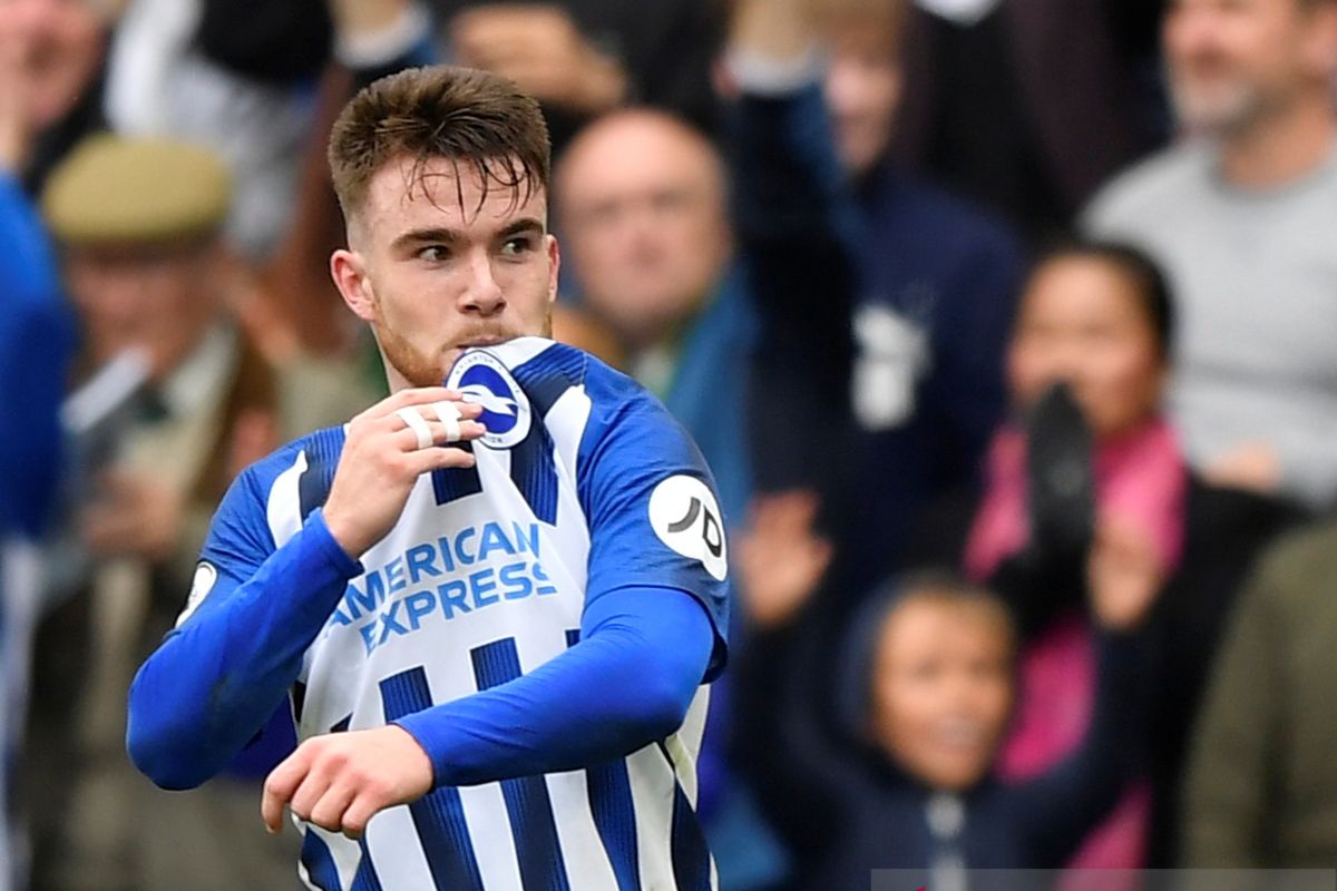 Pulih dari cedera, Connolly siap bela Brighton lawan Liverpool