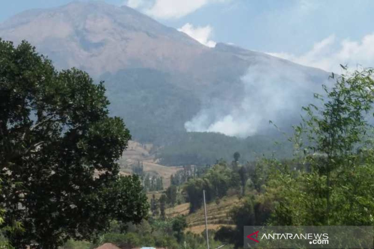 Lereng Gunung Sumbing terbakar