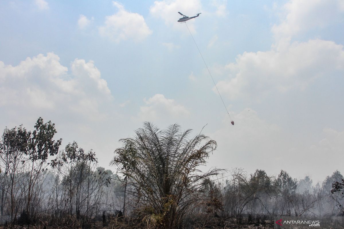 Kakek 75 tahun jadi tersangka pembakar lahan