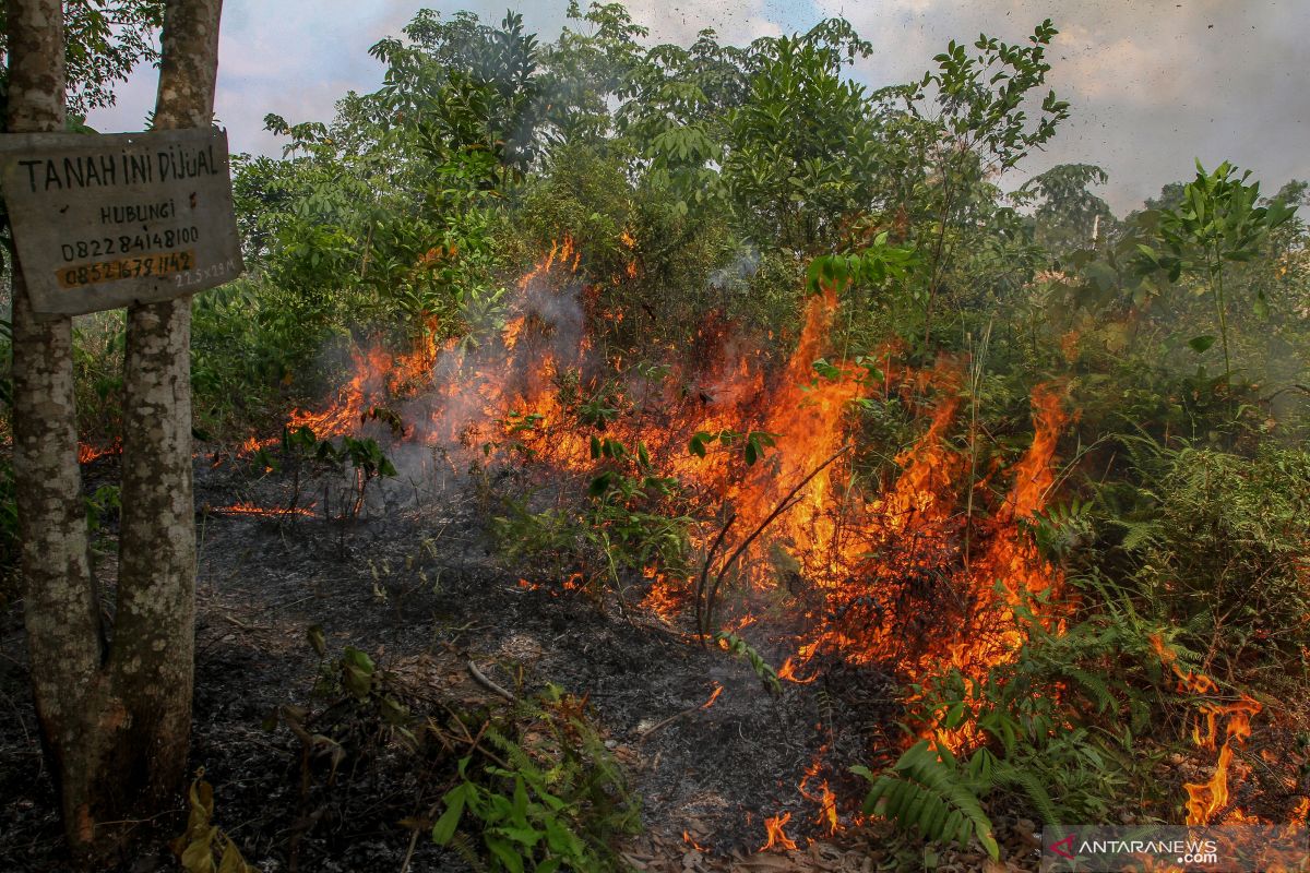 Efektif berantas karhutla, Gubernur Riau minati inovasi milik polda