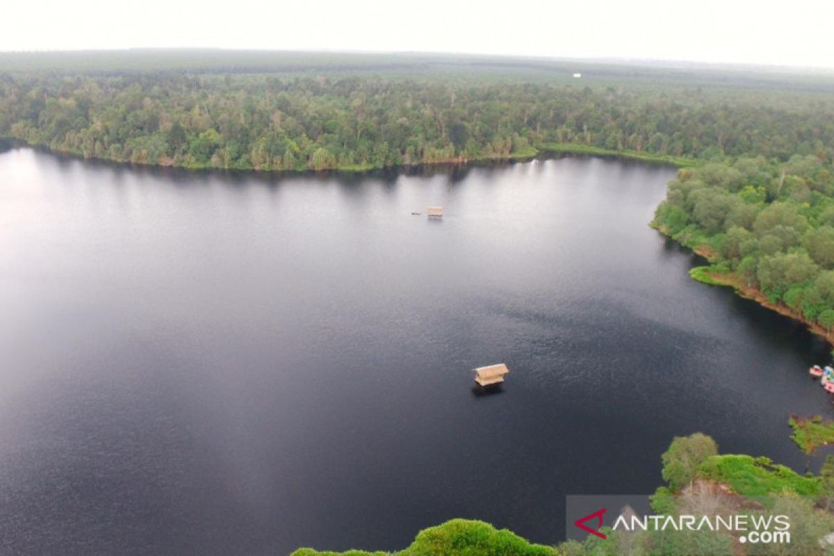 "Siak Hijau", sumbangsih Indonesia dari Siak untuk kurangi perubahan iklim