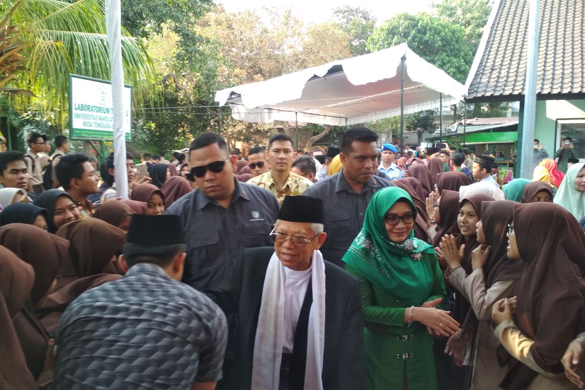 Ma'ruf Amin dorong elemen bangsa tangkal radikalisme