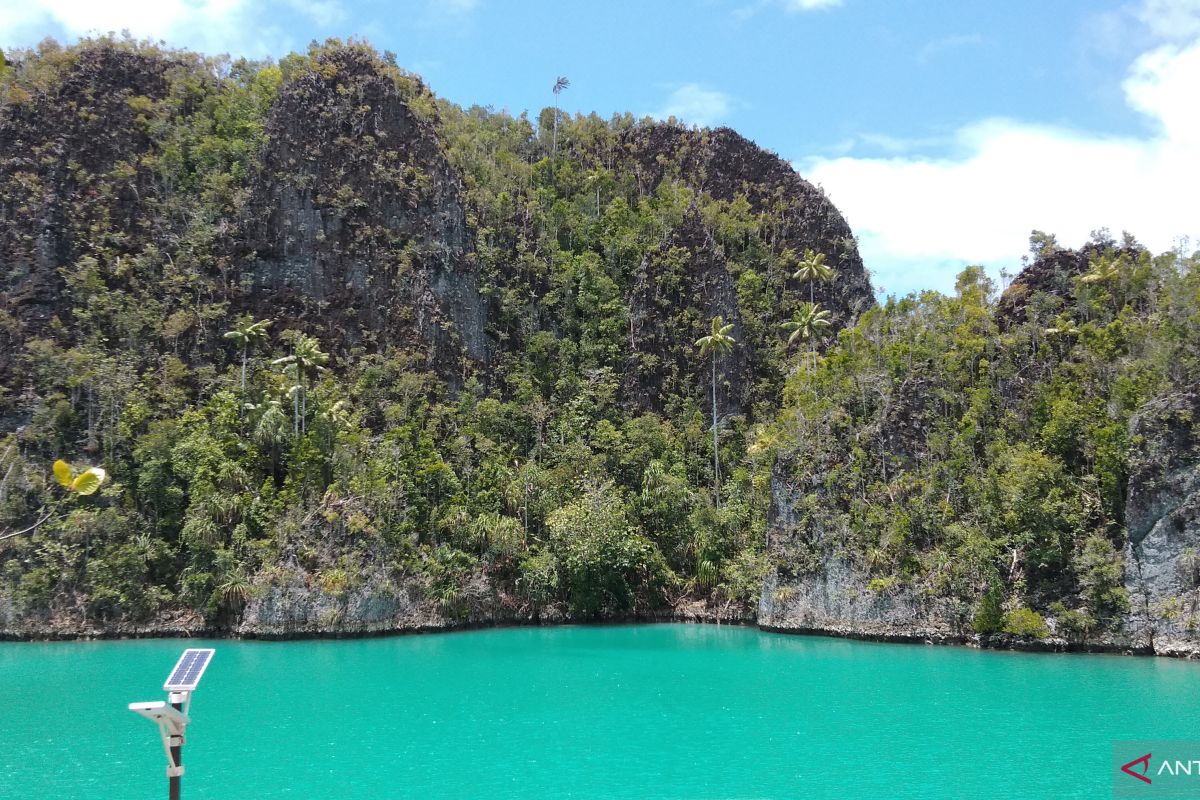 WNA asal Swiss hilang di hutan Raja Ampat ditemukan selamat