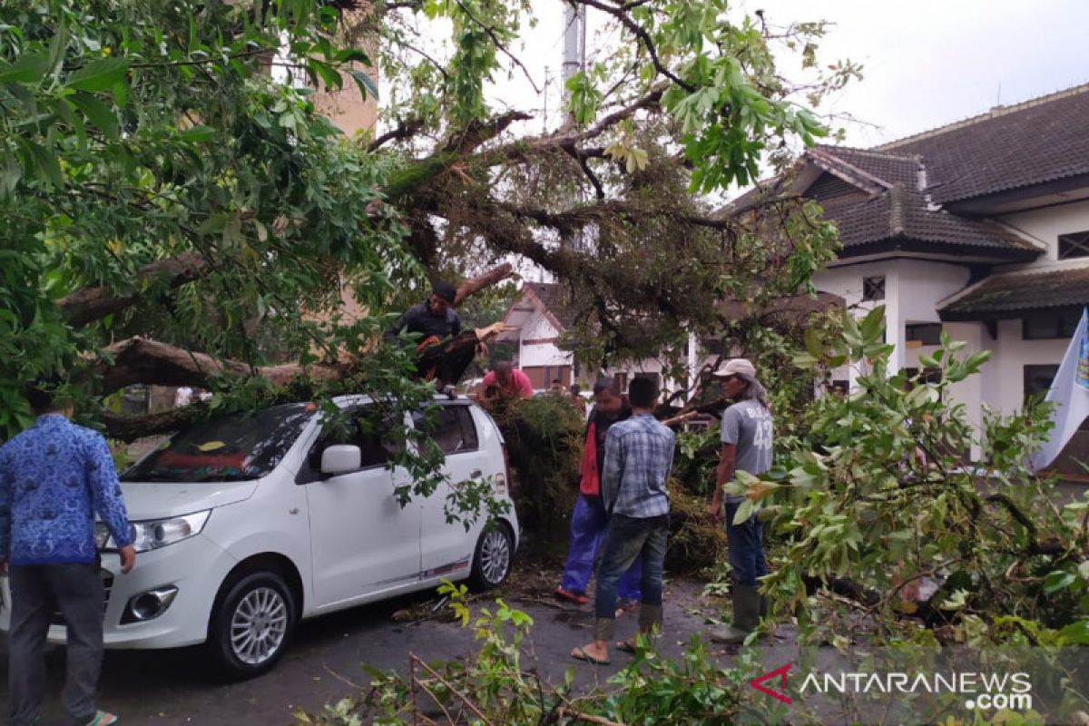 Mobil tertimpa pohon, ibu rumah tangga berhasil dievakuasi