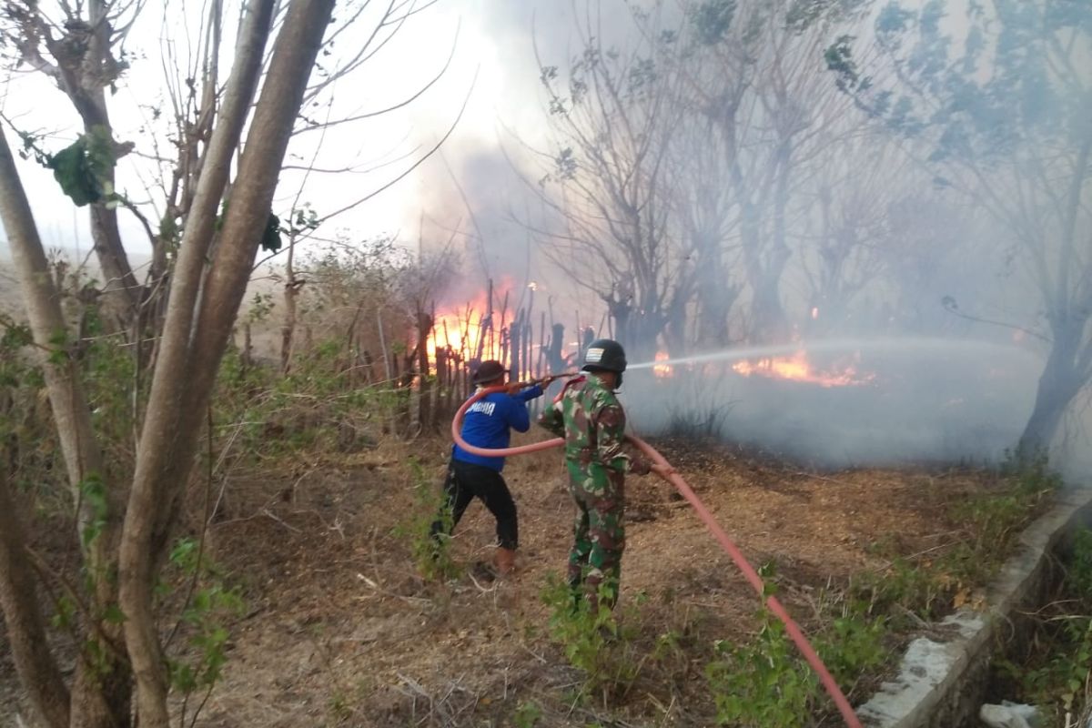 300 hektare lahan terbakar di Taman Nasional Gunung Tambora berhasil dipadamkan