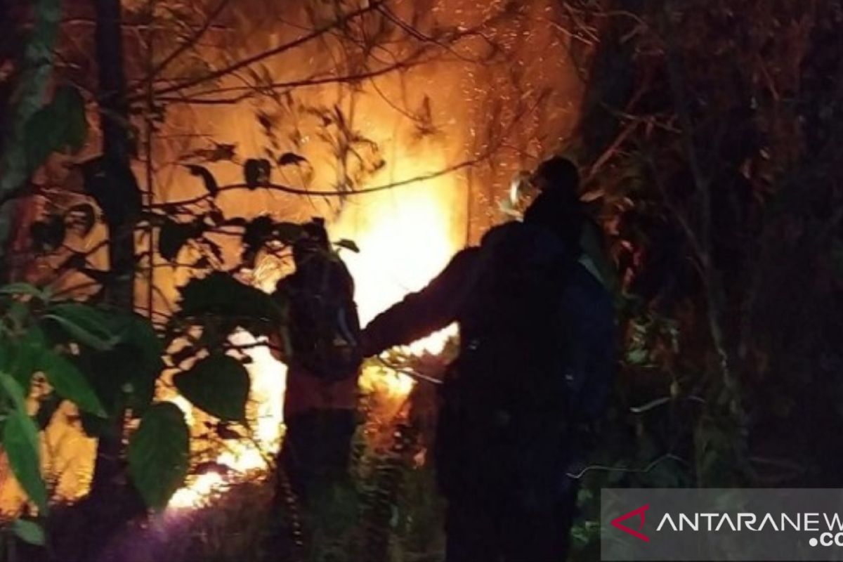 Penyebab kebakaran hutan di Gunung Bawakaraeng belum diketahui