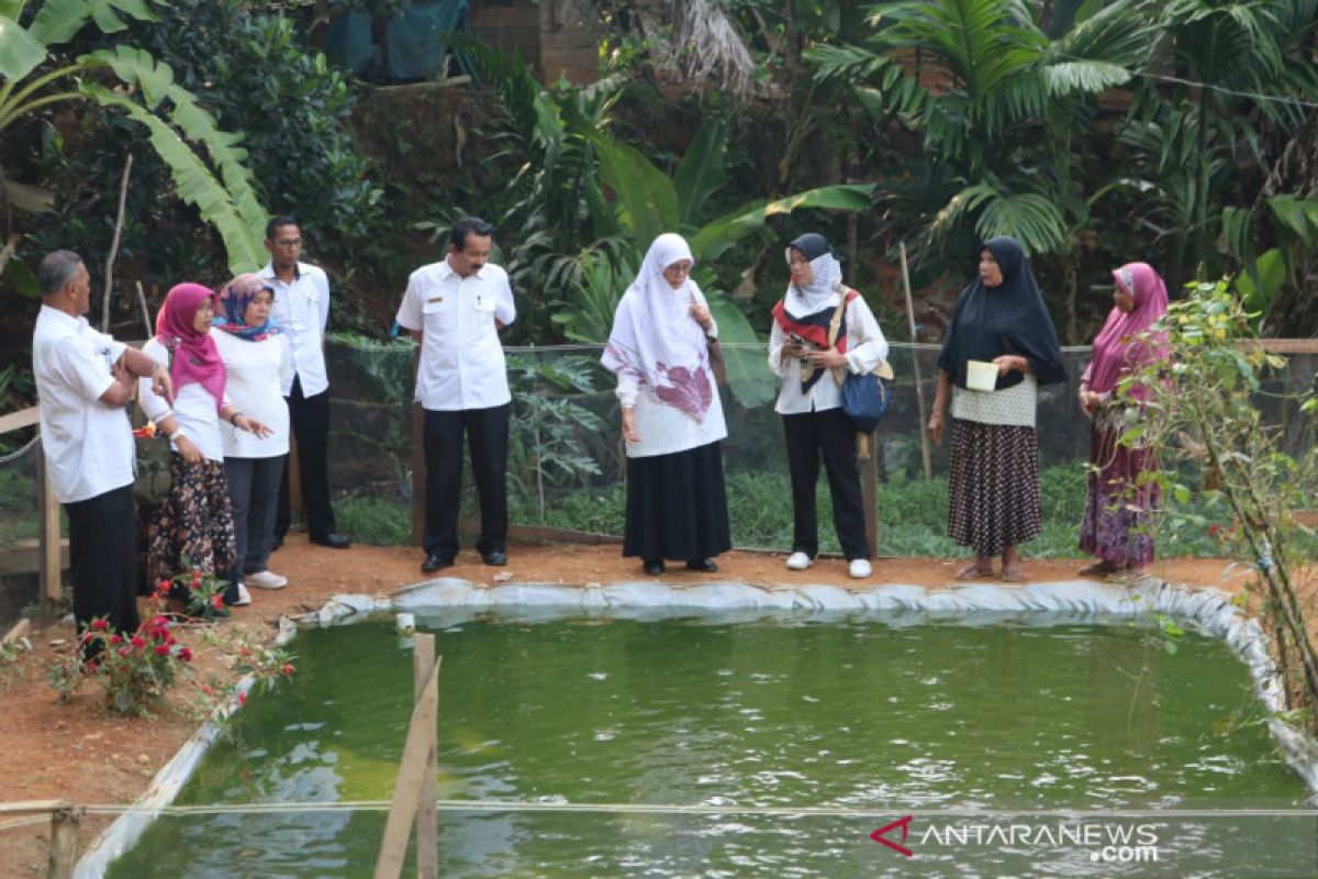 Sijunjung jadi daerah tujuan studi banding budidaya perikanan