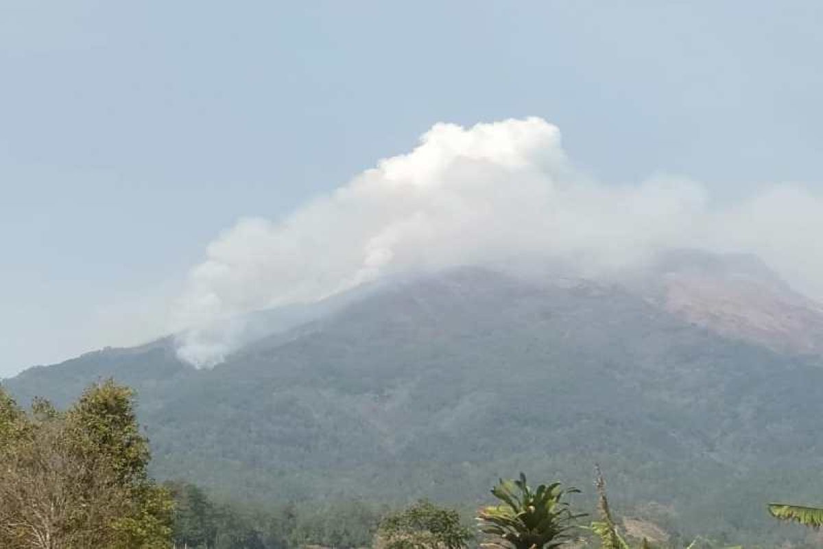 Pj Gubernur Jateng minta kepala daerah cegah kebakaran saat  kemarau