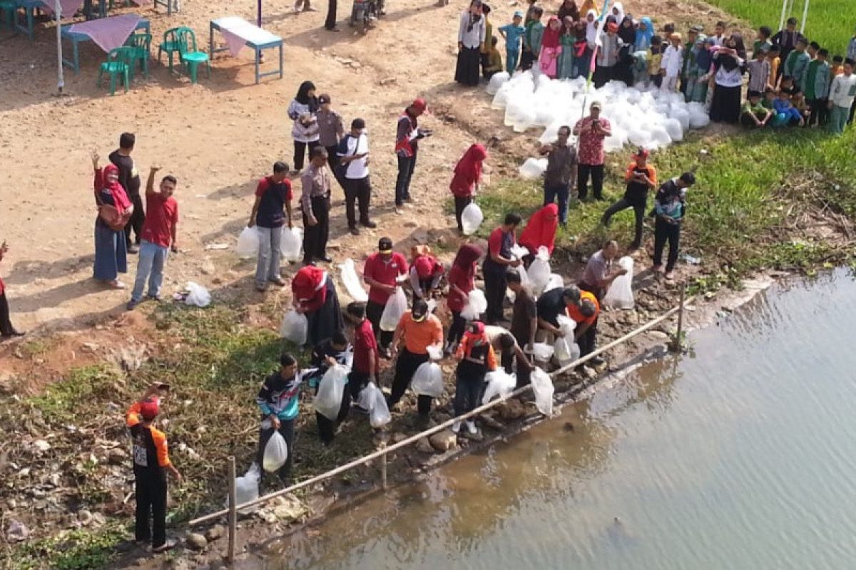 40.000 benih ikan baung ditebar di Sungai Serayu