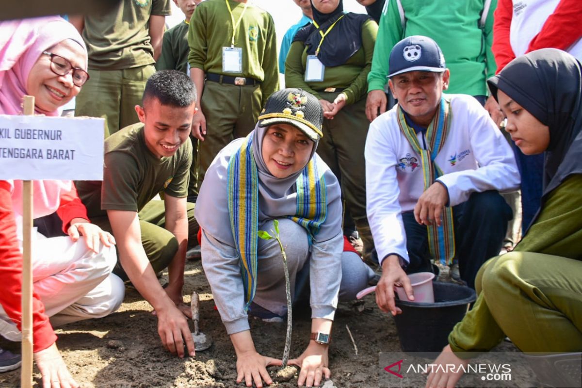 Wagub NTB pimpin penanaman satu juta Pohon Mangrove di Cendi Manik