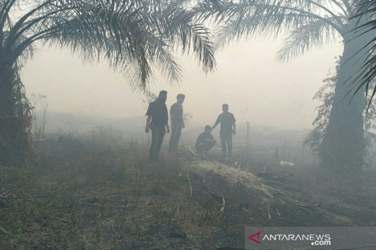 Karhutla Riau jerat sembilan tersangka