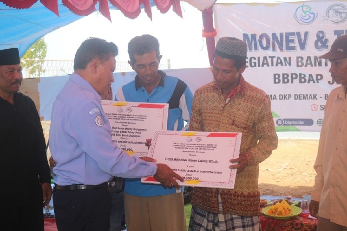 Pembudi daya ikan Demak peroleh bantuan benih udang