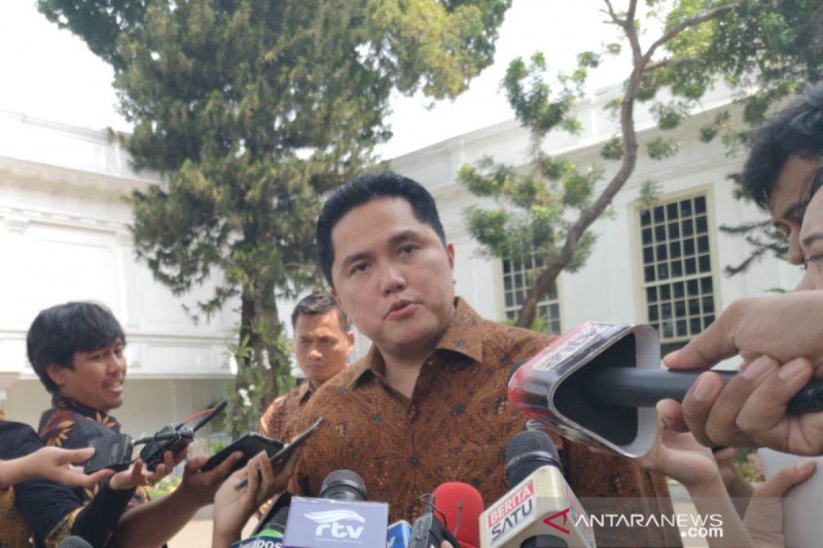 Menteri BUMN tetapkan pembagian tugas dua wakil menteri