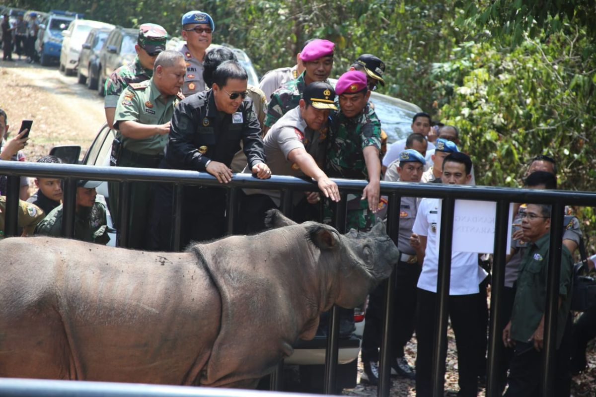 Gubernur Arinal komit lindungi badak sumatera