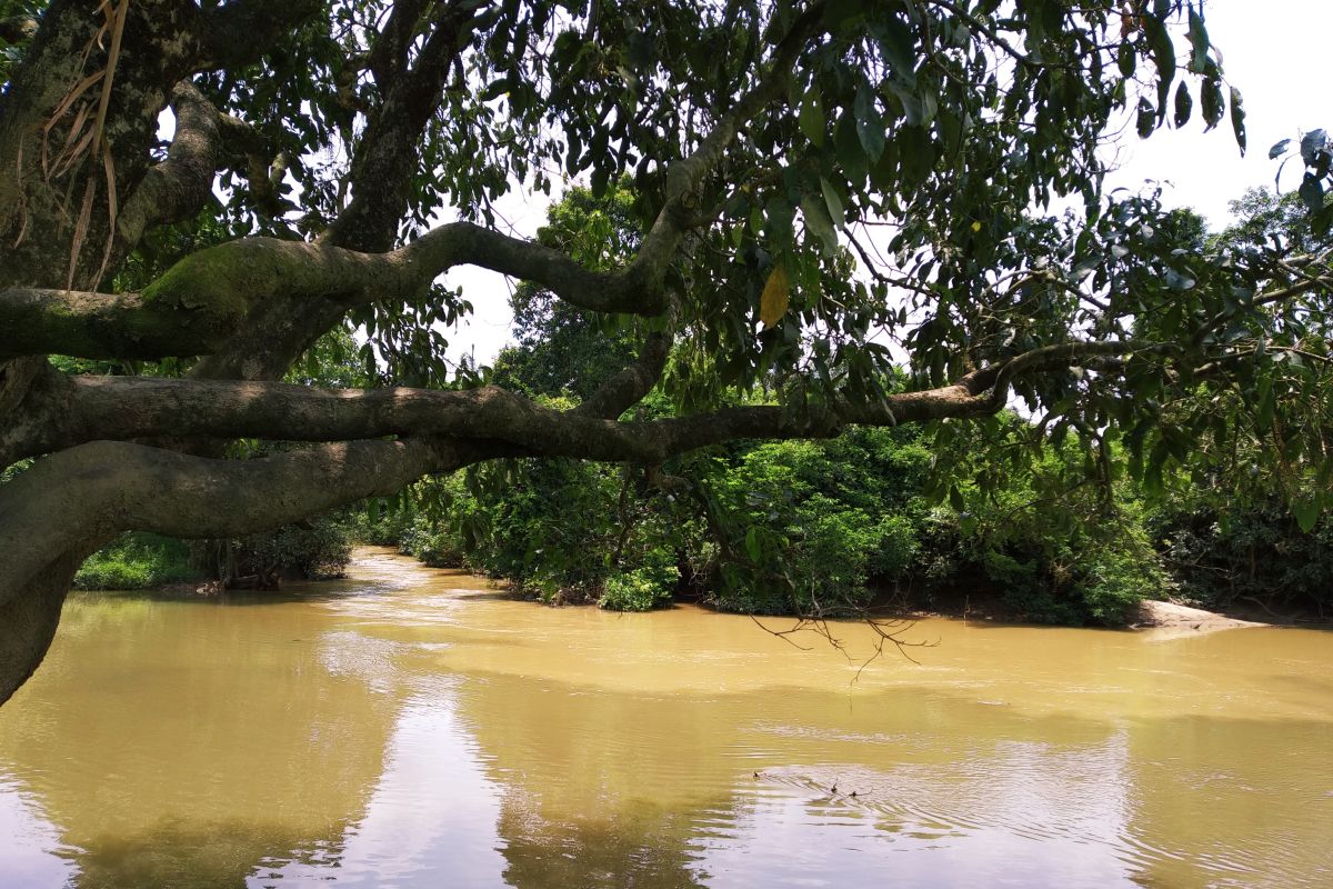 Pekanbaru harus siap hadapi ancaman banjir