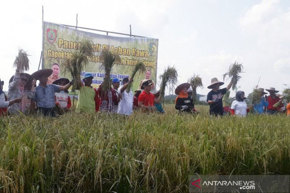 Diproyeksi sebagai lumbung pangan nasional, Kalteng siapkan pendanaan