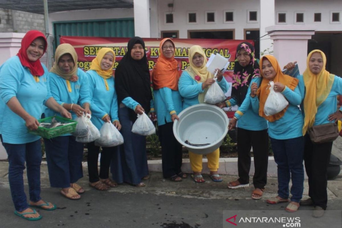 Manfaatkan lahan sempit, KWT Kota Magelang budidayakan lele berkelanjutan