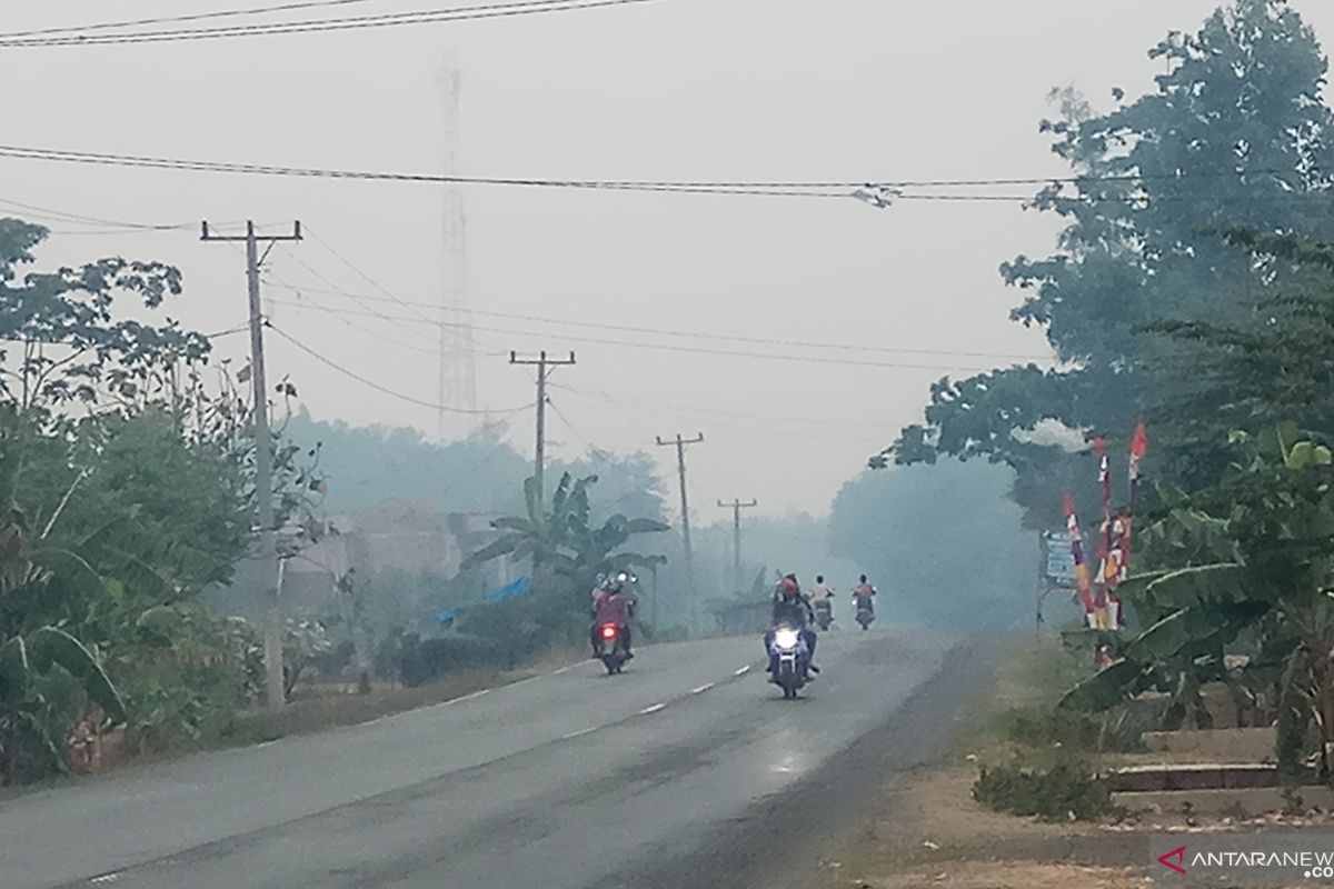 Kabut asap tebal resahkan warga Mesuji