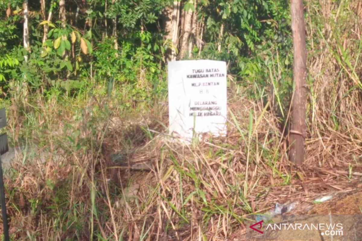 Batas Bengkalis dengan Rohil dan Dumai ditetapkan