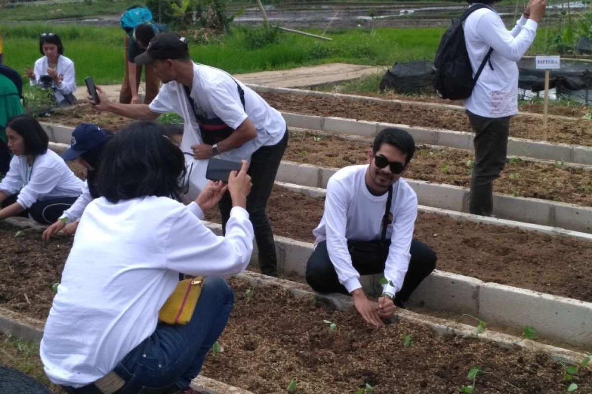 Kalangan swasta dan LSM cetak petani muda kembangkan pertanian