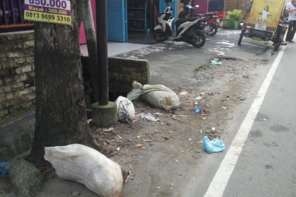 Bangkai babi dibuang di jalan, bau busuk merebak di Kota Medan