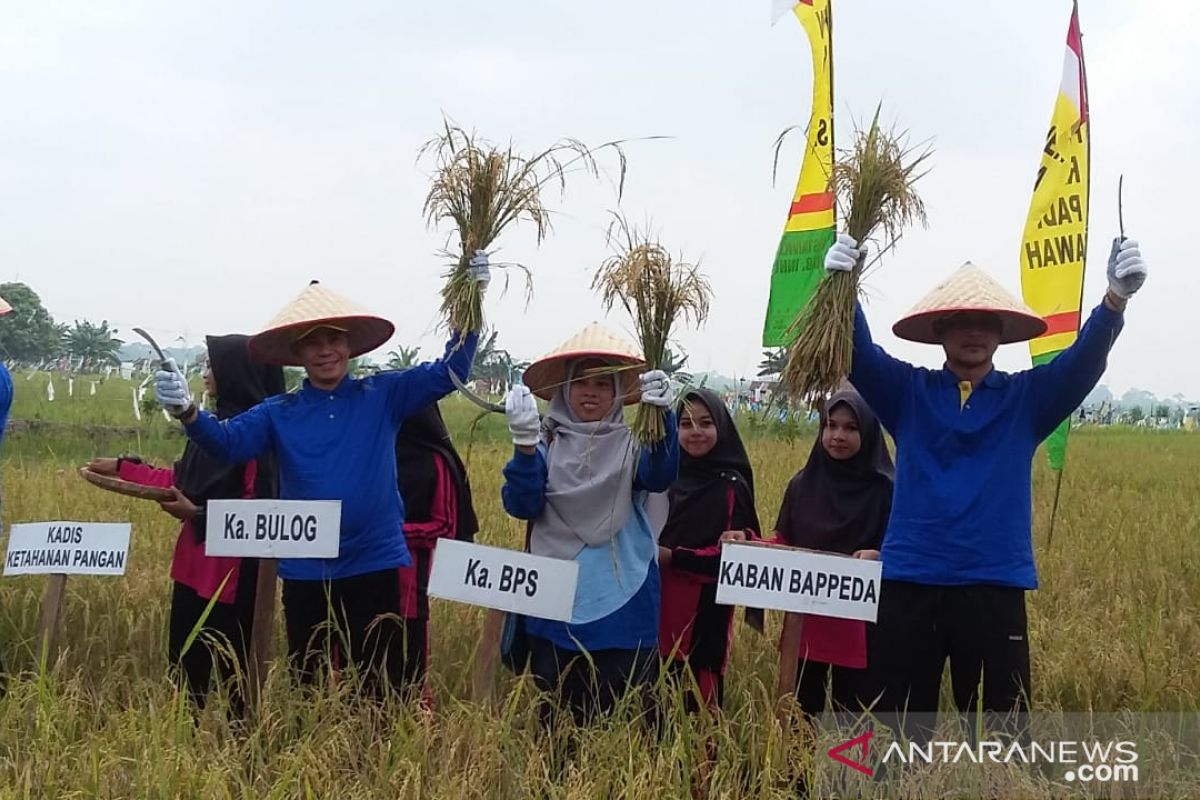 Serapan padi Bulog Riau 2019 lebihi target 4.400 ton