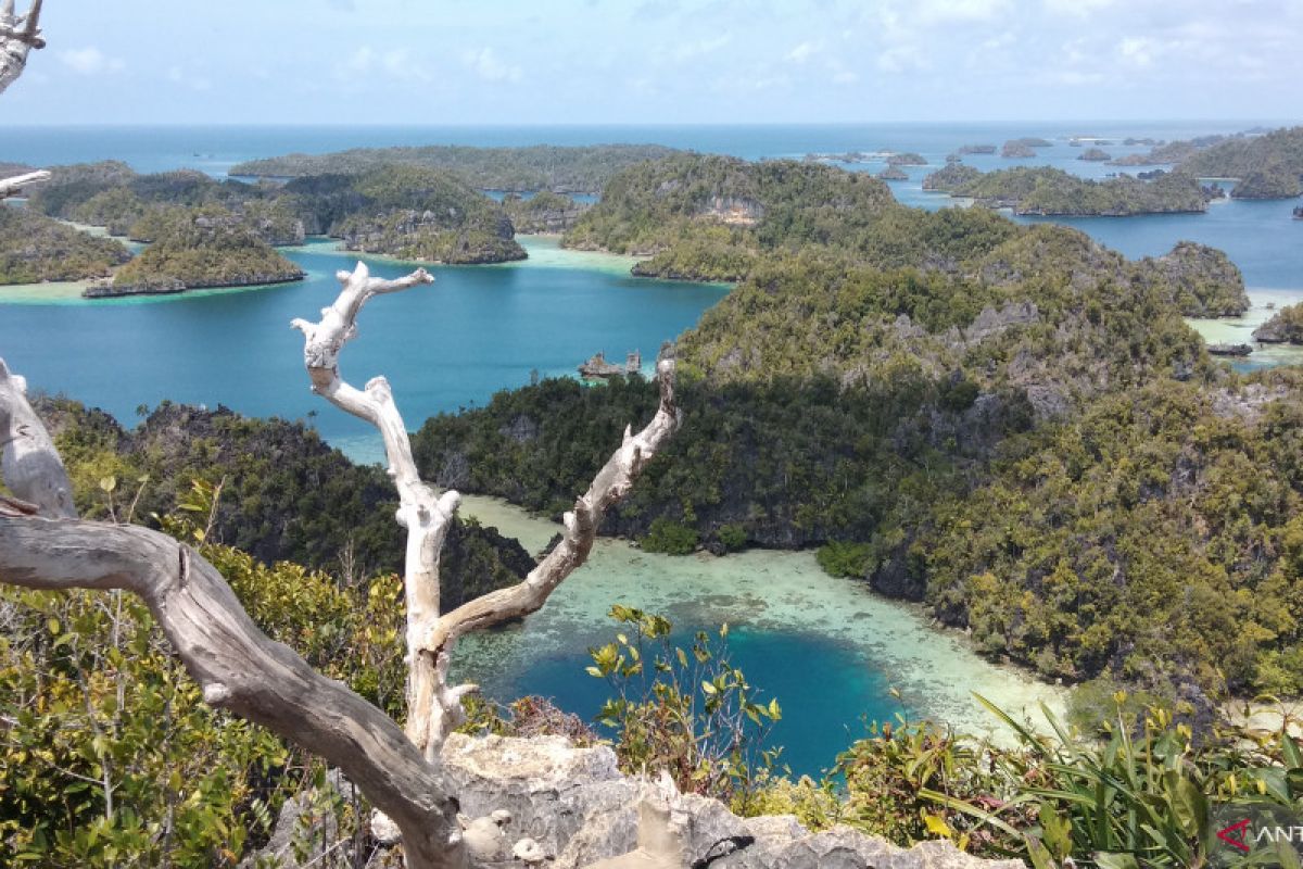 Raja Ampat promosikan destinasi Pulau Misool dengan kegiatan festival