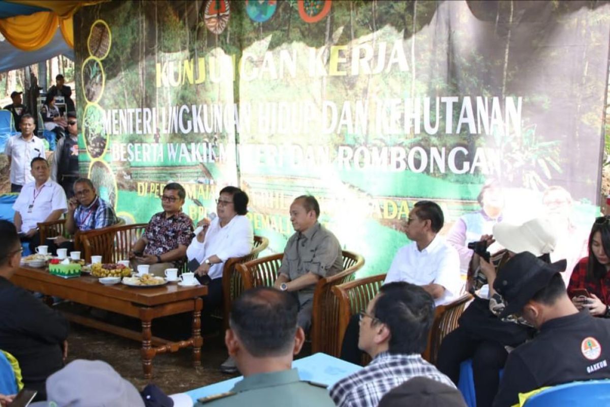 Pemerintah anggarkan rehabilitasi hutan dan lahan sebesar Rp2,7 triliun