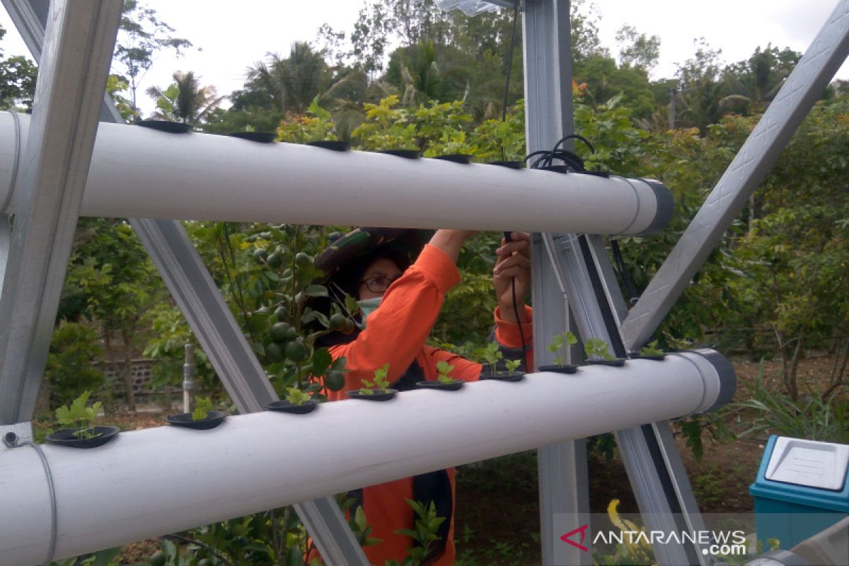 Meniru Pacitan, Pemkab Banyumas ingin bangun Taman Teknologi Pertanian