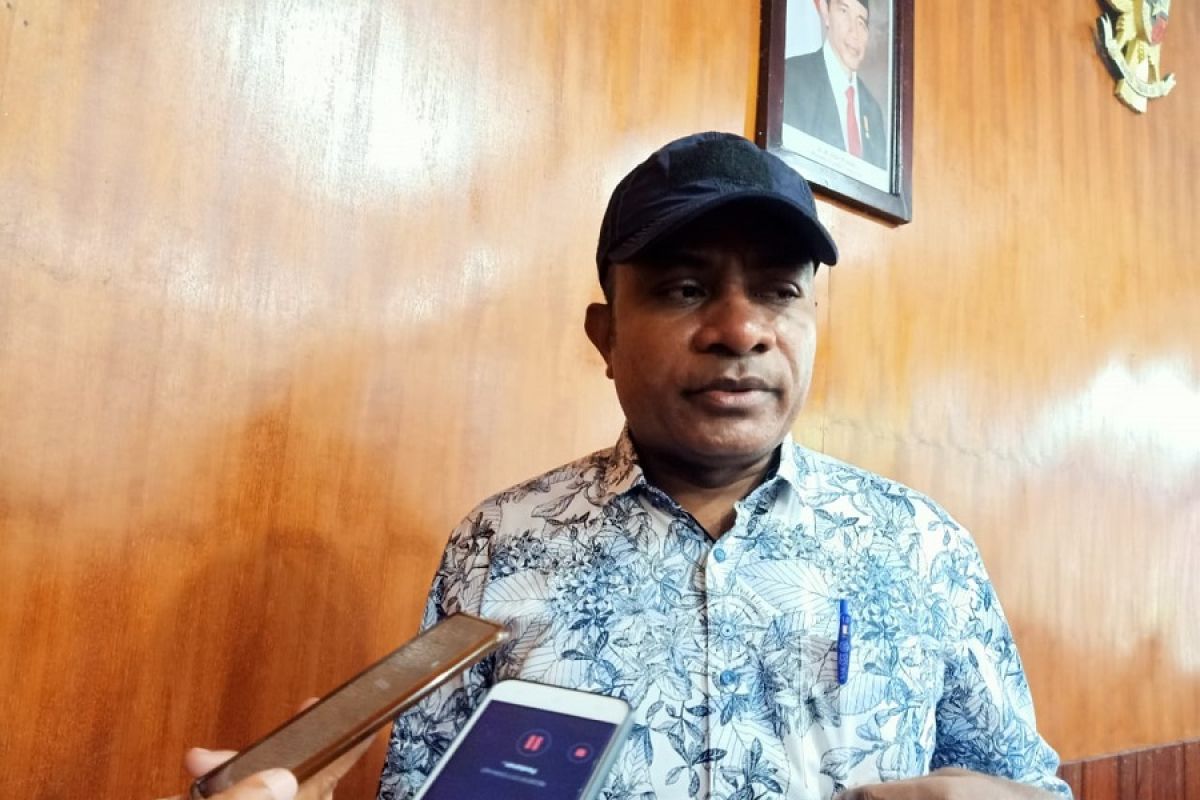 Wabup Asmat: Papua Selatan layak dimekarkan