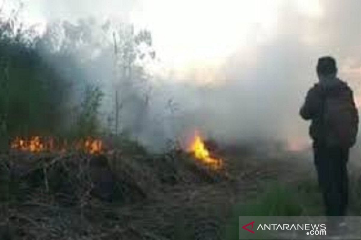 Kabut asap menyelimuti sebagian wilayah Kolaka Timur