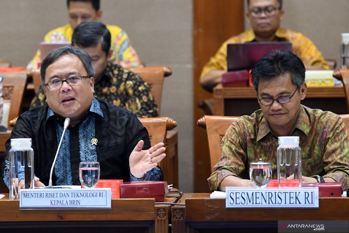 Kemenristek uji klinis jahe merah, jambu biji, minyak kelapa