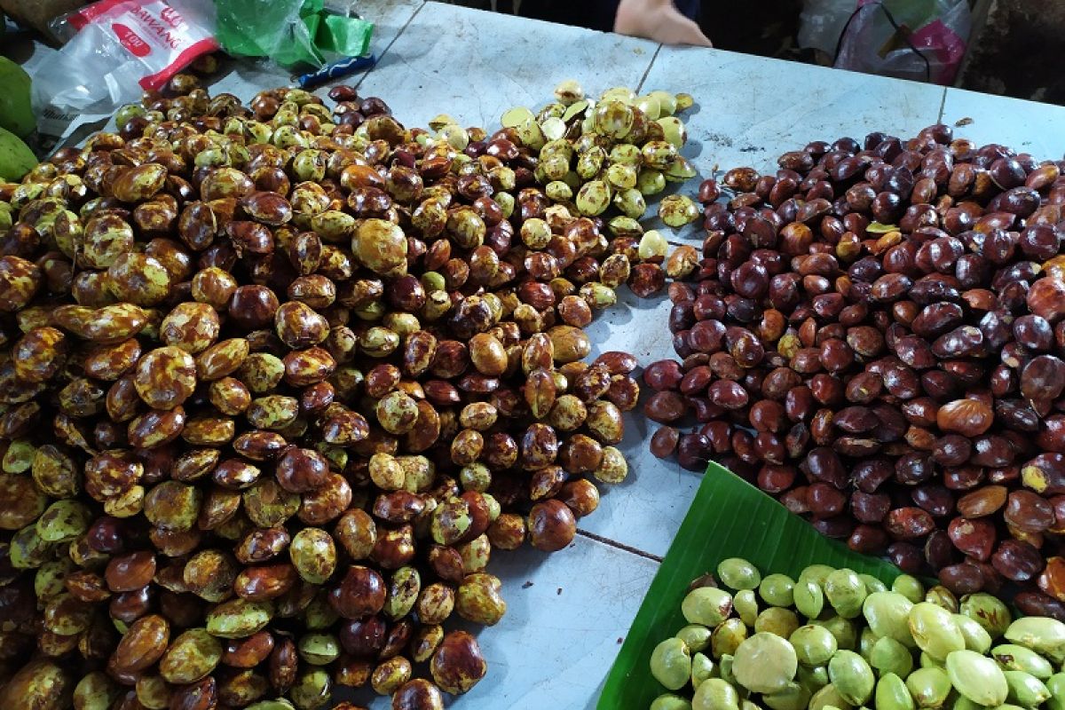 Harga jengkol stabil meski di penghujung musim panen