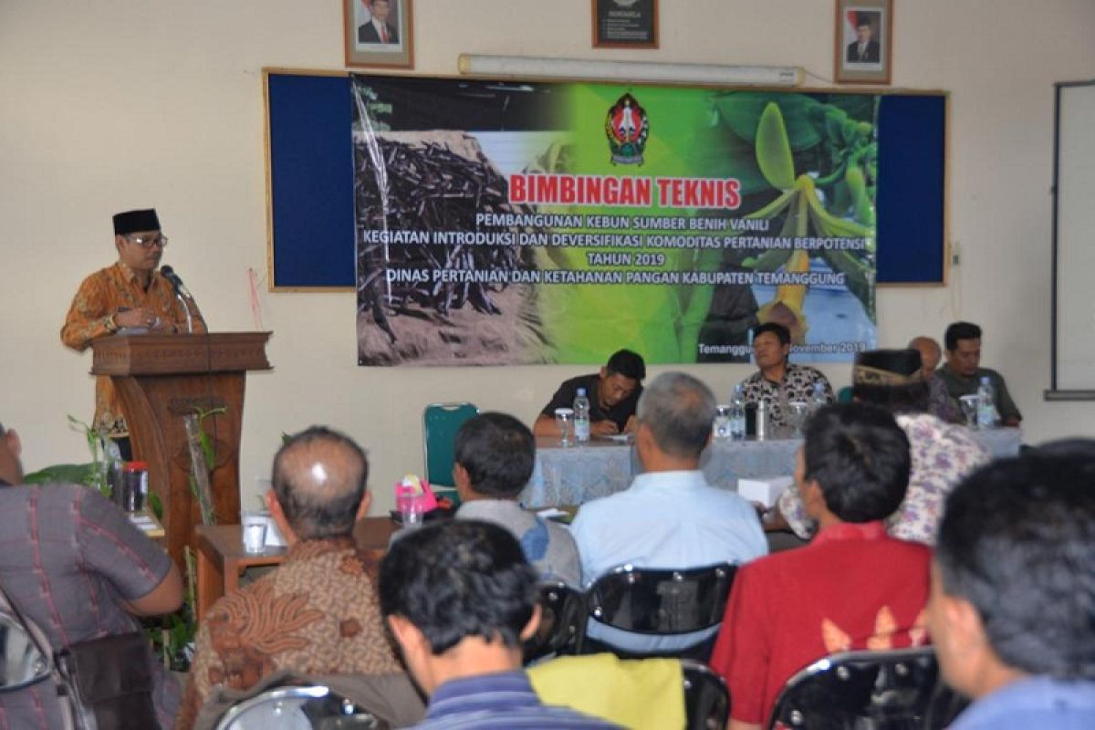 Temanggung ingin kembalikan kejayaan panili dengan latih petani