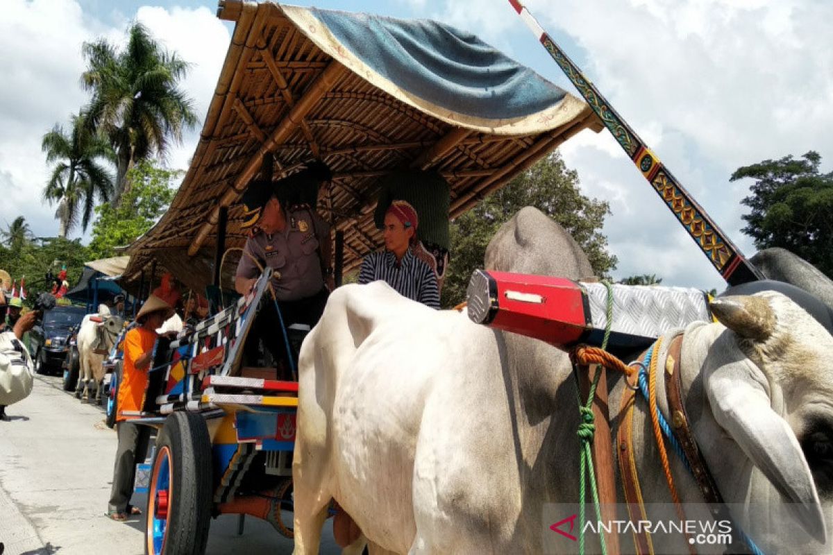 Pedagang Pasar Burung Wates dipindah ke pasar baru