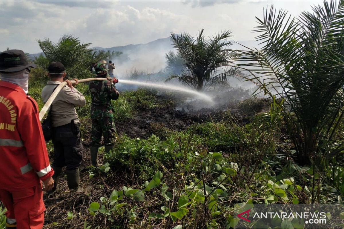 Gapki Sumsel minta  pemerintah awasi lahan tak bertuan