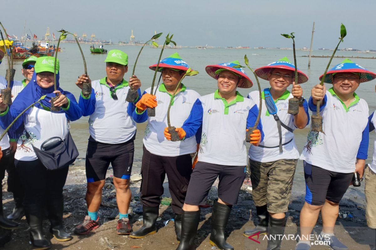 Pertamina sulap pesisir Semarangjadi MangroveEdupark