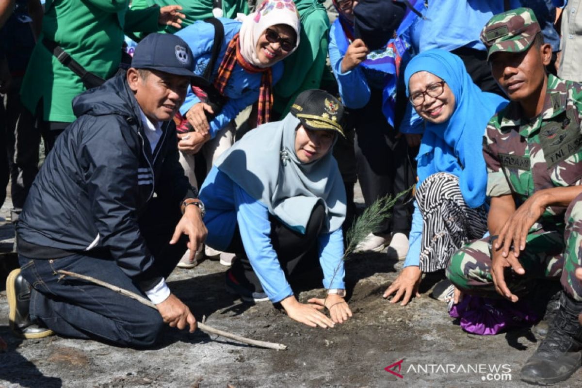 Wagub NTB pimpin menanam bakau pada Gerakan Save Teluk Bima