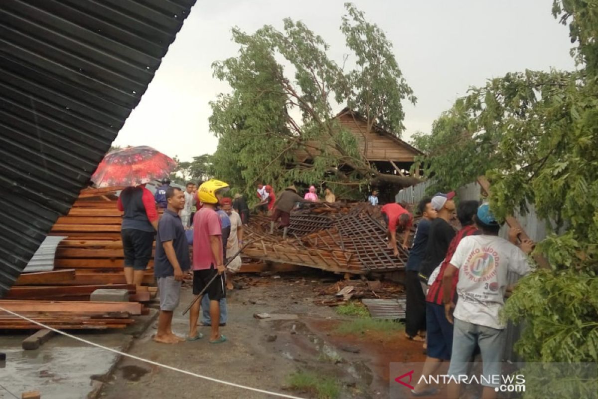 Seorang bocah tewas tertimpa pohon akibat angin ribut di Klaten