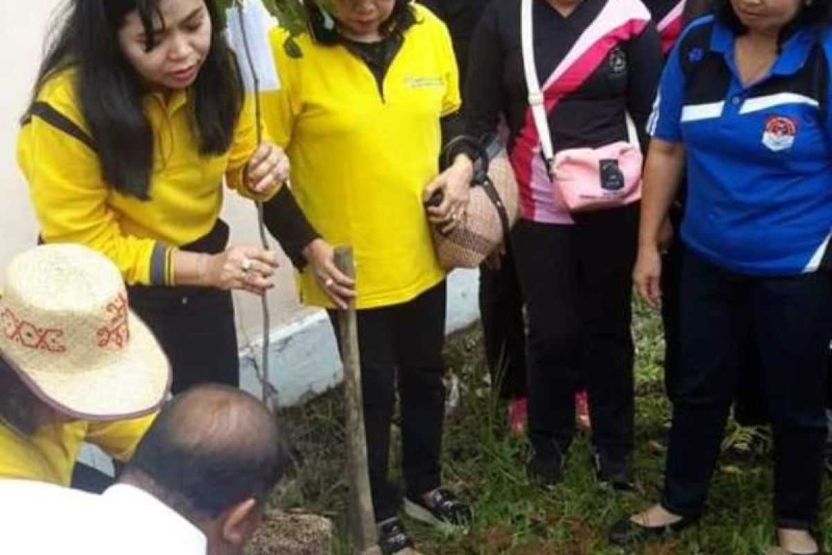 GOW Gumas peringati Hari Ibu dengan menanam bibit pohon