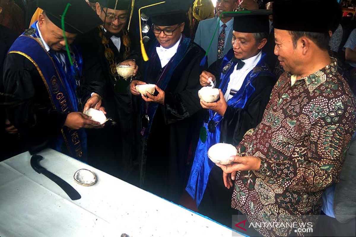 Bupati minta UMP kembangkan  kelapa kopyor di Banyumas