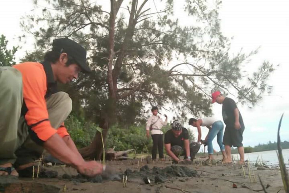 BKSDA mengizinkan kegiatan penanaman mangrove dalam kawasan cagar alam