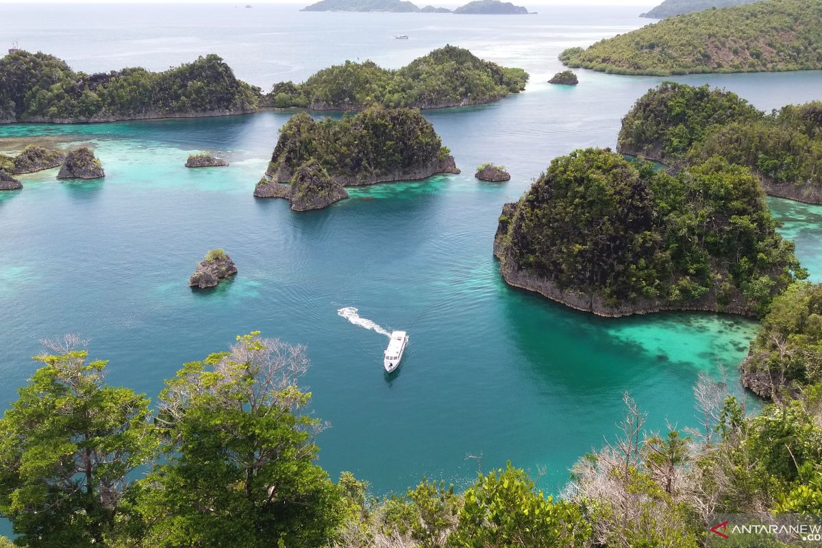 Kapal Pesiar kandas di terumbu karang Raja Ampat