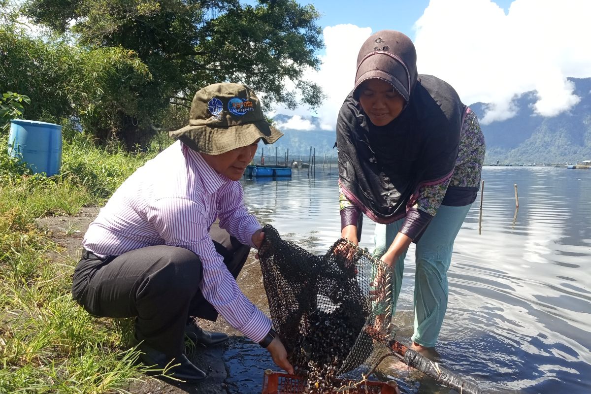 Tangkapan Rinuak dan Pensi di Danau Maninjau berkurang akibat populasi menipis