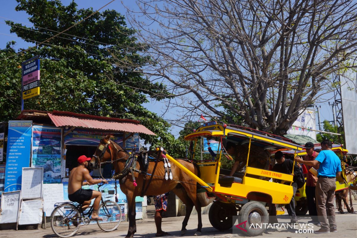 Somasi NTB minta DPRD pandang persoalan aset Trawangan dengan serius